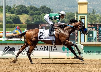 tapalodo horse|Tapalo .